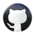 GitHub icon